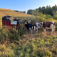 Agricultural Equipment Appraisals